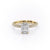 EMERALD CUT MOISSANITE PAVÉ SET SHOULDERS WITH HIDDEN HALO