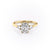 Elongated Cushion Cut Moissanite 3 Stone Ring