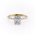 Elongated Cushion Cut Moissanite Engagement Ring With Hidden Halo