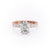 OVAL CUT MOISSANITE STONE SET SHOULDERS WITH HIDDEN HALO