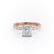 PRINCESS CUT MOISSANITE STONE SET SHOULDERS WITH HIDDEN HALO