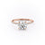 Round Cut Moissanite Engagement Ring, Plain Band With Hidden Halo