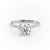 Round Cut Moissanite Shoulder Set Ring With Hidden Halo