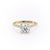 Round Cut Moissanite Shoulder Set Ring With Hidden Halo