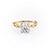 Round Cut Moissanite Engagement Ring, Twig Design