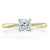 Princess Cut Moissanite Engagement Ring, Classic Style